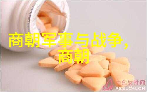 明朝的历史地位和影响-东方盛世探究明朝的辉煌与遗产