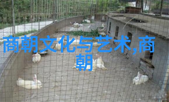 编织梦想自创神话传说中的奇迹与传奇