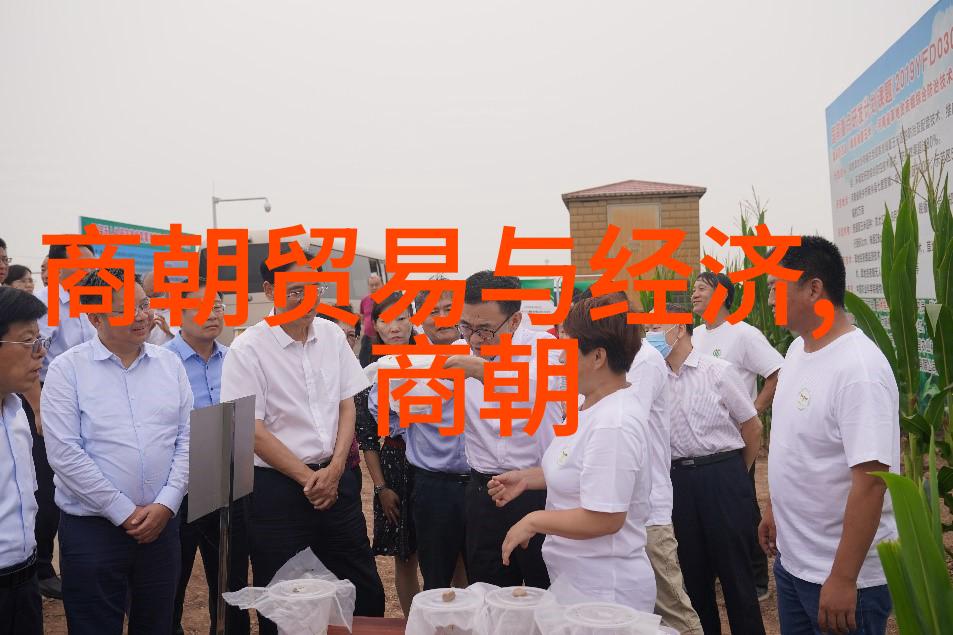 采薇之歌诗经中的秋天与收获