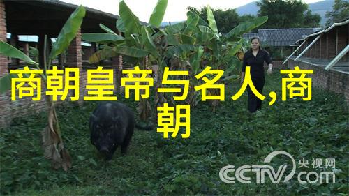 乾隆一生有100个女人老乾隆的百佳甜心