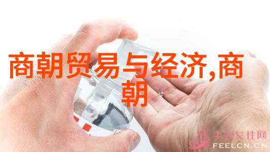 明朝覆灭之谜历史的千丝万缕背后藏着怎样的秘密