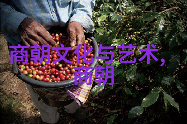 明朝16位皇帝中有几位曾经亲征过边疆取得显著成就
