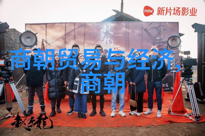 宋朝发生的著名事件我亲眼见证的北宋灭亡金兵入侵与都城沦陷