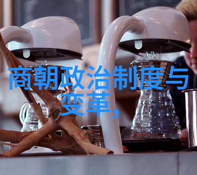 南宋和北宋的历史资料-探索两宋遗韵南北史料对照与研究