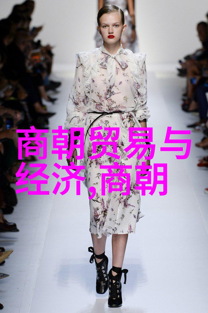 明朝的诡异事件-沉默的宫廷揭秘明朝那些未解之谜