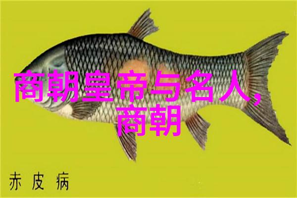 我国历史朝代的辉煌与变迁从秦统一到清盛衰