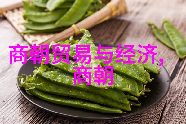 评析明史中的朱瞻基形象及其影响力分析