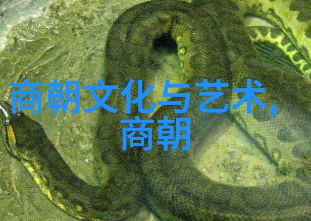 历史辩论-北元与明朝正统之争历史的迷雾与学术的探索
