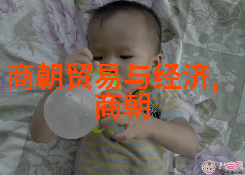 明朝那些事儿揭秘历史的风云变幻与权力斗争