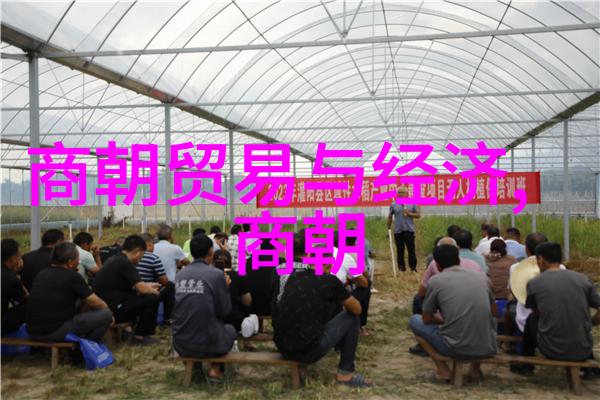 唐朝中国历史上最长王朝的辉煌与深远影响