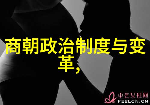 元朝覆灭的历史痕迹与原因探究