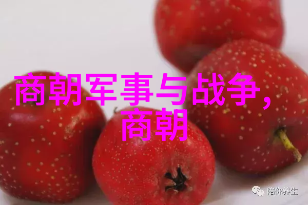 中国最弱的三个朝代-历史的阴影探索中国最不稳定时期