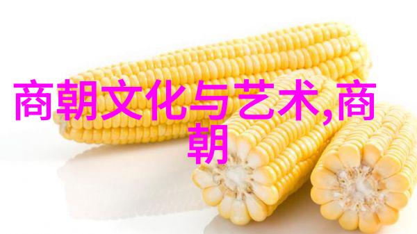 法相仙途老子这趟旅途真不容易