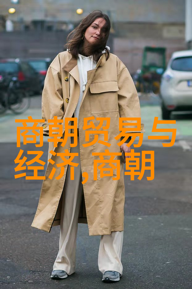 历史变迁-从晋朝到宋朝唐朝的光辉与遗憾