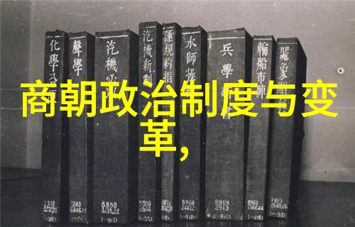 揭秘明朝奇观从太平盛世到倭寇侵扰的历史辉煌与挫折