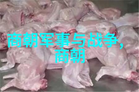 明朝之盛权势与荣耀的巅峰