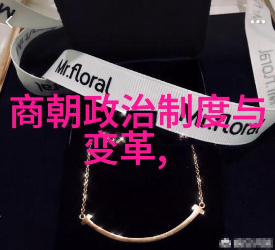 岁月变迁如何观看中国历史朝代演变的视频