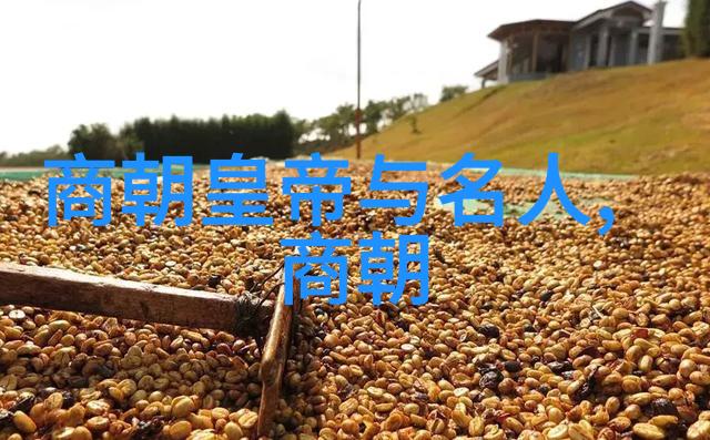 魔镜里的世界明朝时期的占卜与预言