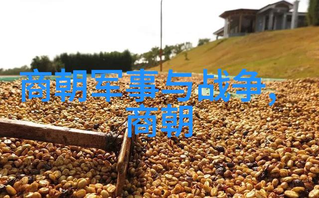 如何通过归纳总结提升人教版中考历史成绩提供具体方法