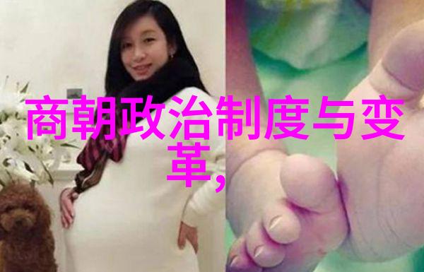 历史长河中的辉煌篇章从明清到中华民国的转折点