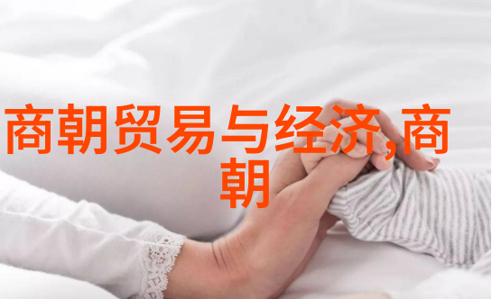 宋朝辉煌文化繁荣与科技创新之光