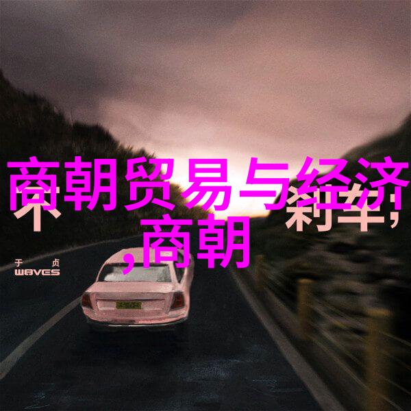海峡两岸闪耀的明灯赖心辉