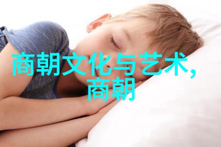 明朝历史讲解视频-揭秘明朝的辉煌与衰落从朱元璋到崇祯