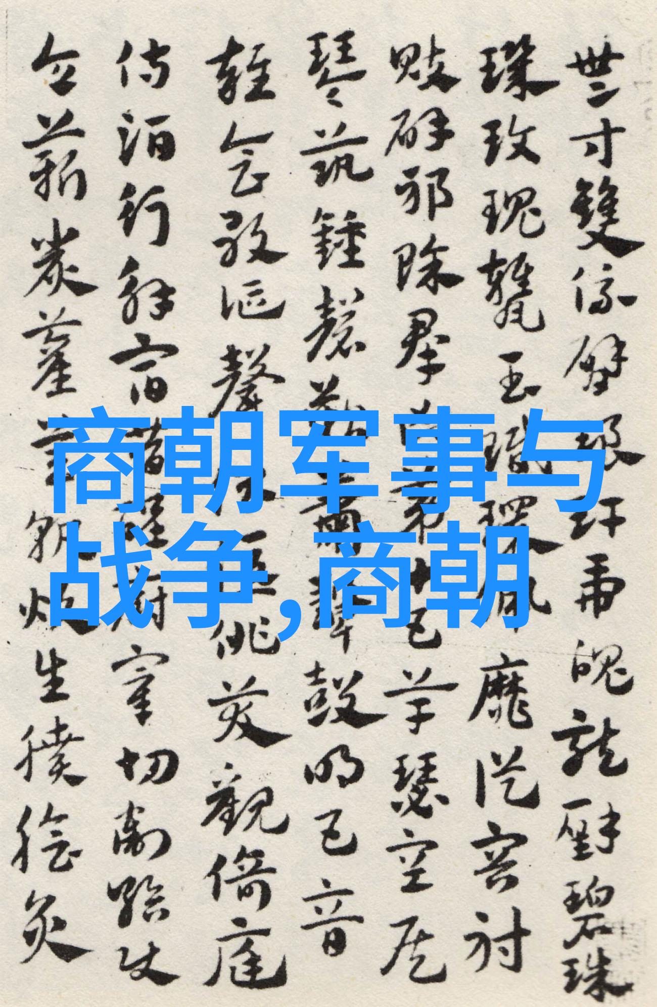 孤独天下长拳穿梭短拳爆发形意绘画太极沉浮八卦缠斗傅山拳法守护着张希贵的孤行