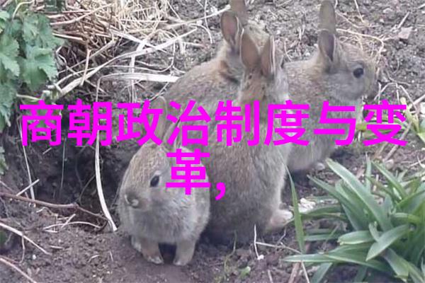 乾隆帝的皇后群像探究一生中的几位皇后传奇