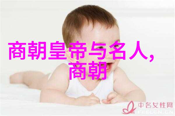 唐代疆域辉煌从盛唐到分裂的历史变迁
