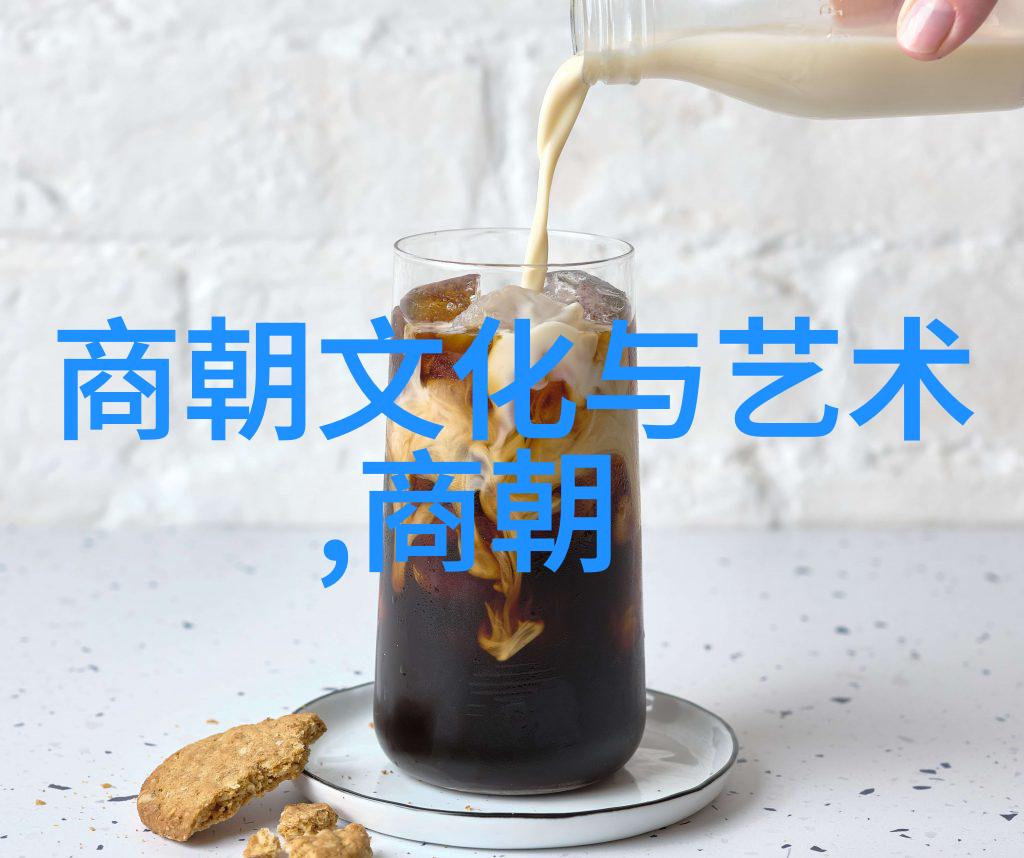 元朝征服中国的外来征程