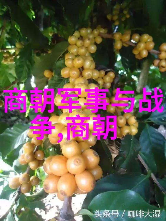 铁血之下锦绣梦回元朝的外来风华与内在挑战