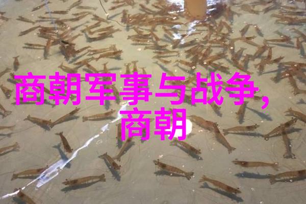 第四届黄梅戏艺术节一场群众性的盛会展现了经典之作牛郎织女在自然景观下的壮观演绎