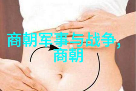 寻秦记txt下载我是如何在网上找到了这本经典小说的全文免费下载的