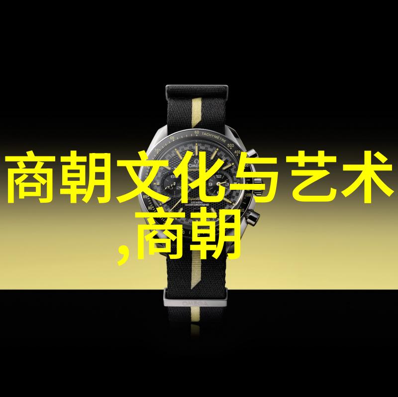 谁是中国元代历史人物中的人物他的名字是伯颜他活跃于1236年到1295年之间