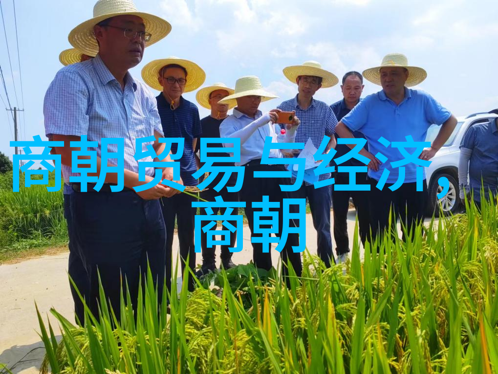 唐朝历史版图的迷雾那些未解之谜与遗失的边疆