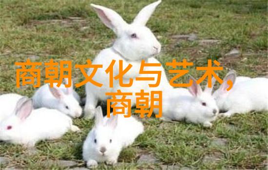 唐朝诗人李白流浪诗人的传奇生涯