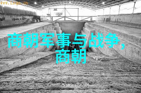 刘云樵北魏灵太后的沉默故事