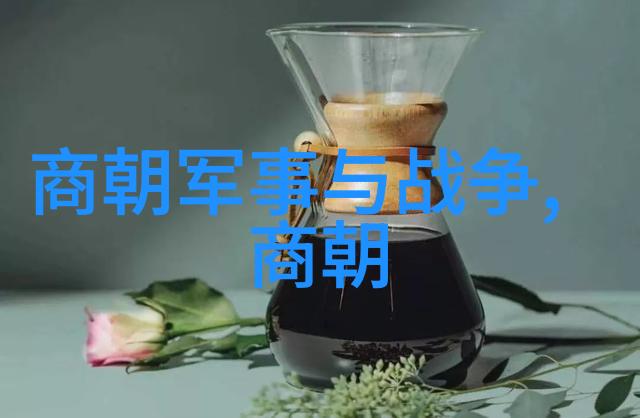 鲁迅军事视频网中的物品场景