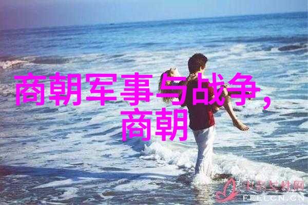 明朝那些事儿王更新有声揭秘历史的旋律与真相