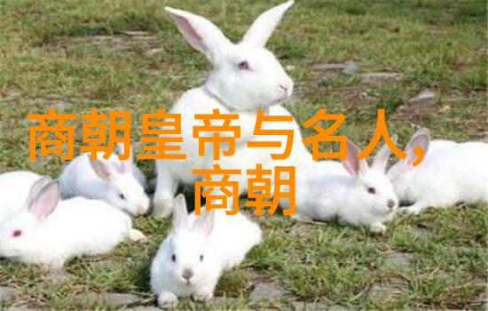 中国神话故事-龙凤呈祥盘古开天地的奇迹