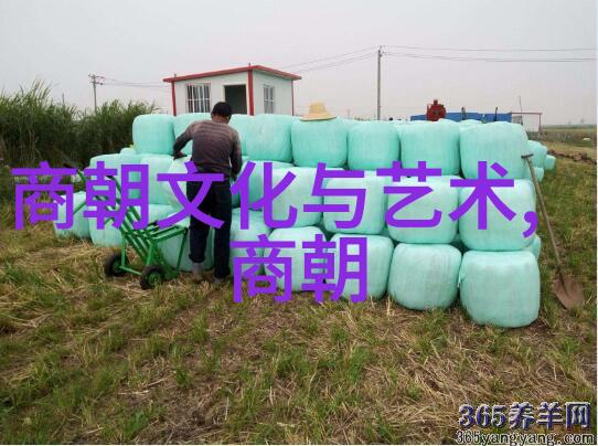 明朝的辉煌一千零九十九个故事