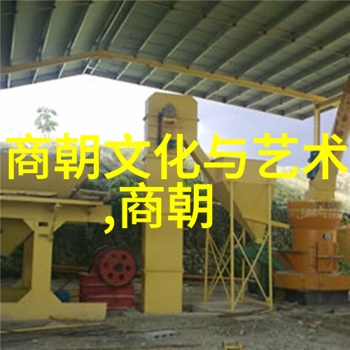 明朝权相明朝的权力政治家