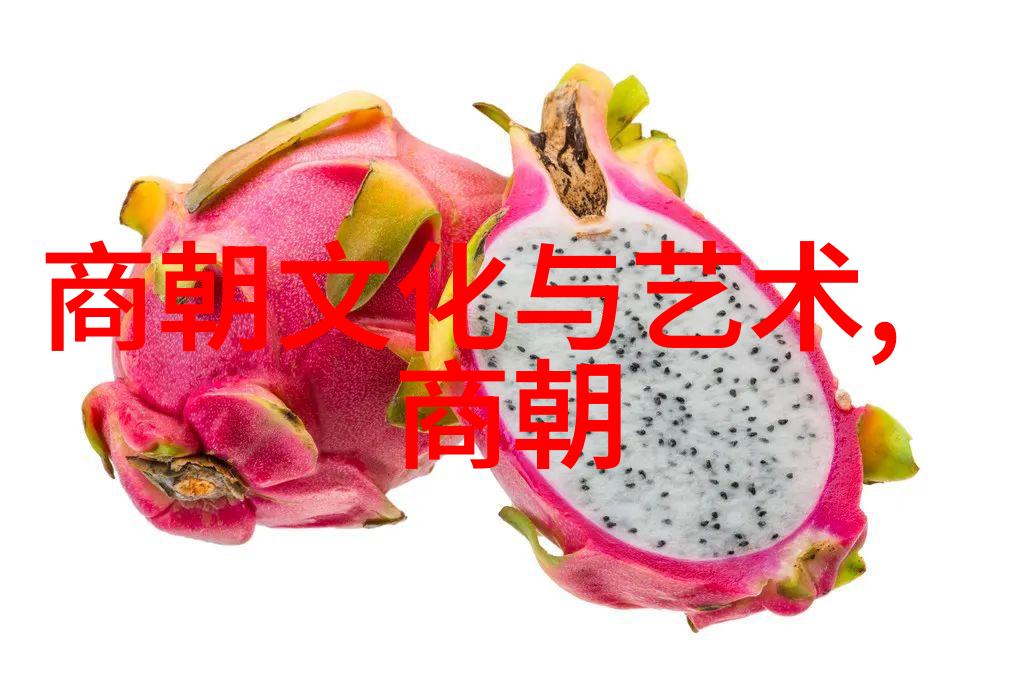 碧血丹心明末的吴三桂投降