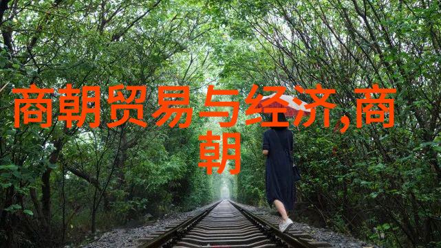 明代宫女谋杀-紫禁城里的阴影明代宫女背后的谋杀秘密