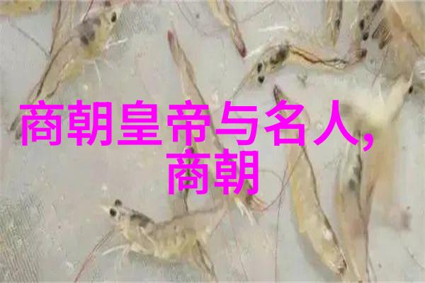 明朝历史解说辉煌与衰落的帝国篇章
