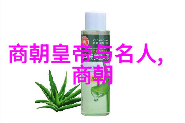 明朝有趣的历史故事100 - 锦衣卫与宫廷秘密揭秘明朝那些隐世趣事
