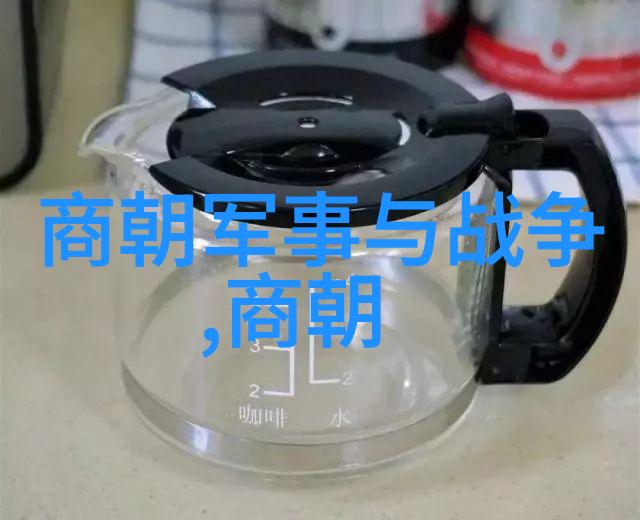 历史上的战争和和平对现代社会有何启示