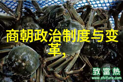 追溯中国五千年辉煌从黄河流域文明到现代复兴的顺序