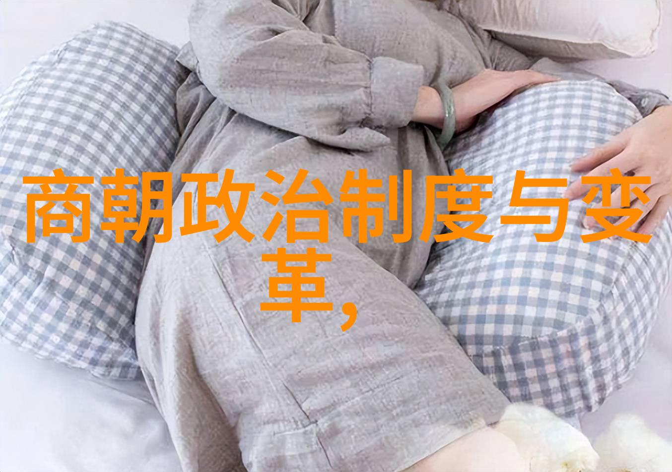 北宋覆灭后南方重建南宋的诞生过程